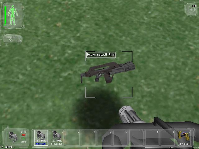Nice Gun2.JPG